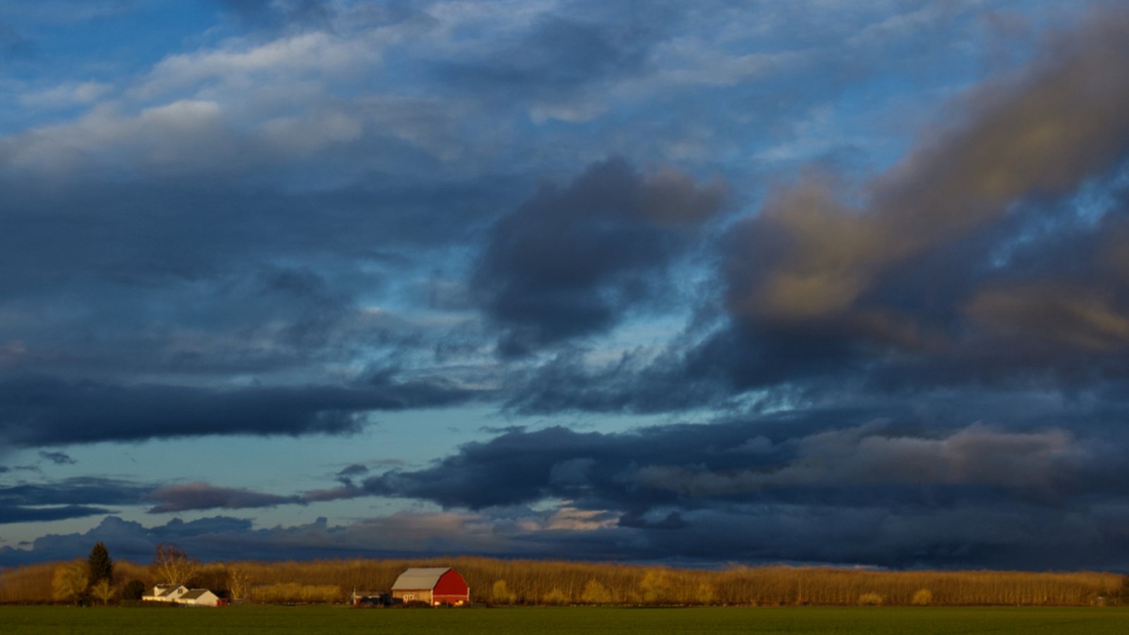 Barn and farm field on rural acreage, the rodent habitat of the Arlington, Washington valley