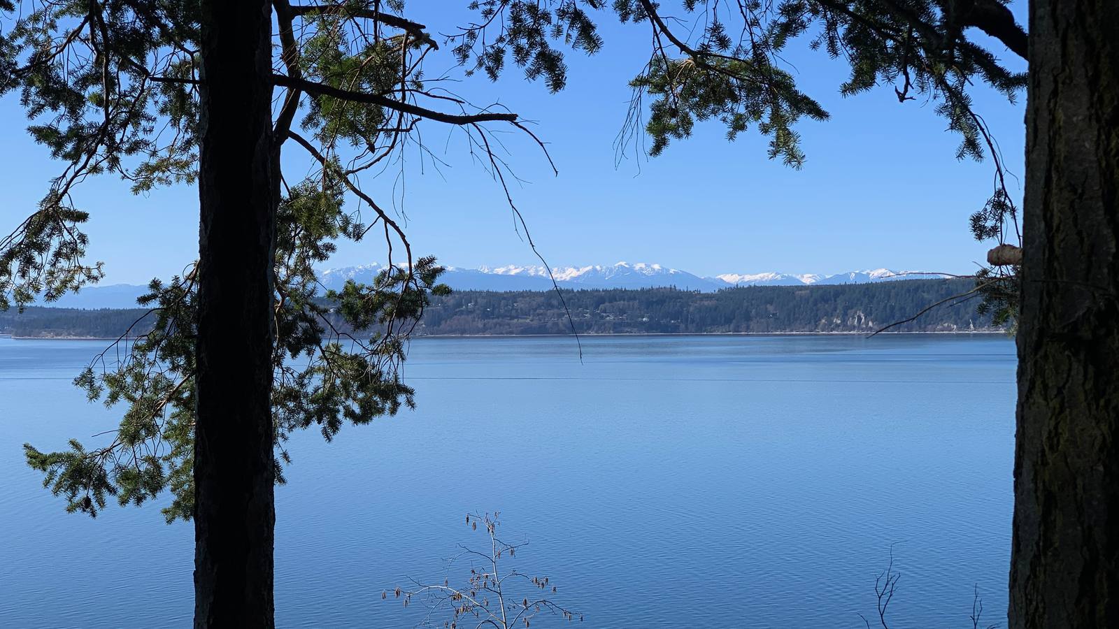 Saltwater passage and conifer shoreline of Puget Sound near Tulalip, Washington